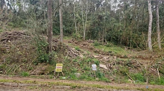 Imóvel 2504146 [''] - ['Rua Bosque das Coníferas, Linha Imperial'] [''] - ['Nova Petrópolis']/['RS'] - 1