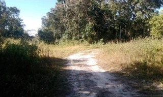 Imóvel 2661146 [''] - ['RUA 119 - LOTE 17 - QUADRA 42, -, JARDIM ANCHIETA'] ['Jardim Anchieta Gleba A'] - ['Itanhaém']/['SP'] - 1