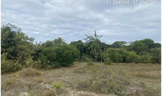 Imóvel 2955346 [''] - ["Avenida F, s/nº - Quadra 62, Lote 01 - Loteamento Vila Rica do Abais - Itaporanga d'Ajuda / SE"] [''] - ["Itaporanga D'Ajuda"]/['SE'] - 1