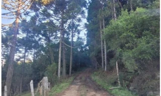 Imóvel 2707146 [''] - ['Fazenda Vista Alegre'] [''] - ['Bom Jardim da Serra']/['SC'] - 1