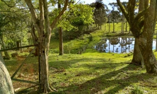 Imóvel 2712046 [''] - ['Linha Castelli, lugar denominado Paiol Velho'] [''] - ['Caçador']/['SC'] - 1