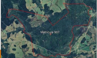 Imóvel 2991946 [''] - ['Um terreno rural de faxinal, constituído pela totalidade da gleba nº.01, sito no imóvel denominado FAXINAL DOS RODRIGUES ou SÃO DOMINGOS'] [''] - ['Inácio Martins']/['PR'] - 1
