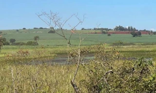 Imóvel 3053347 [''] - ['Fazenda São Domingos, s/n, Zona Rural, Luz, MG, 35595-000, Fazenda São Domingos, Luz, MG, 35595-000'] [''] - ['Luz']/['MG'] - 1