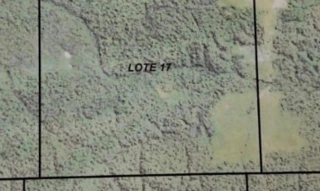 Imóvel 2899847 [''] - ['Gleba São Francisco, Lote 17'] [''] - ['Colniza']/['MT'] - 1