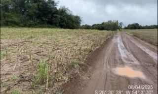 Imóvel 3055347 [''] - ['uma fração de terras com área superficial de 25ha15a, situado no lugar denominado Itú Mirim'] [''] - ['Maçambará']/['RS'] - 1