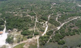 Imóvel 3027647 [''] - ['Localizado no município de Belágua/MA'] [''] - ['Belágua']/['MA'] - 1