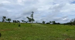 Imóvel 2562547 [''] - ['FAZENDA BOLÍVIA'] [''] - ['Cabeceira Grande']/['MG'] - 1