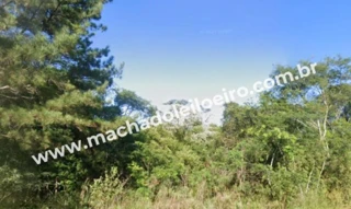 Imóvel 2510747 [''] - ['FAZENDA RAPOSO, s/n'] [''] - ['Caxias do Sul']/['RS'] - 1