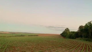 Imóvel 2716947 [''] - ['Lote (53-A e 54) subdivisão dos lotes 53-A e 54, Gleba 12, Distrito de Bela Vista do Ivaí, Sítio Nossa Senhora Aparecida'] [''] - ['Fênix']/['PR'] - 1