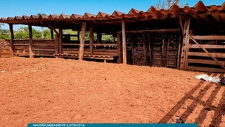 Imóvel 3004747 [''] - ['Fazenda el Shaday Vista Alegre do Corrente, Itarumã, GO'] [''] - ['Itarumã']/['GO'] - 1