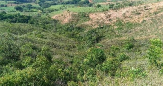 Imóvel 2703547 [''] - ['FAZENDA MATA BURROS'] [''] - ['Patos de Minas']/['MG'] - 1