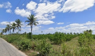 Imóvel 2886747 [''] - ['Umbaúba, SE'] [''] - ['Umbaúba']/['SE'] - 1
