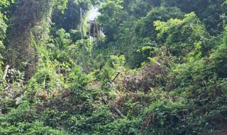 Imóvel 2693647 [''] - ['Condomínio Portogalo, Lote nº 28-A, Gleba J'] ['Portogalo'] - ['Angra Dos Reis']/['RJ'] - 1