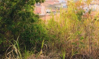 Imóvel 2647947 [''] - ['Rua 04, S/N, Lote 12, Quadra C, Loteamento Larez, Juruaia, MG, 37805-000, , Juruaia/MG'] [''] - ['Juruaia']/['MG'] - 1