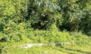 Imóvel 2709847 [''] - ['Rua São Bernardo, Cidade Jardim Coronel, gleba 6-A'] ['Jardim Cel.'] - ['Itanhaém']/['SP'] - 1