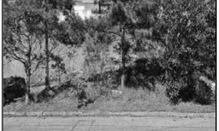 Imóvel 2575547 ['10224693'] - ['RUA CICERO VIANA,N. SN QD E, LT 05, ABERTA DOS MORROS - CEP: 91755-017, PORTO ALEGRE - RIO GRANDE DO SUL'] ['Aberta dos Morros'] - ['Porto Alegre']/['RS'] - 1