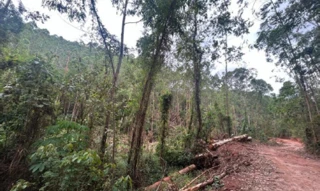 Imóvel 2651947 [''] - ['Córrego do Guarany'] [''] - ['Afonso Cláudio']/['ES'] - 1