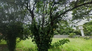 Imóvel 2732947 [''] - ['Avenida São Lucas'] [''] - ['Pirassununga']/['SP'] - 1