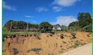 Imóvel 2918947 [''] - ['Estrada Geral Baguaçu Central, s/n – Ribeirão Jacupema – Apiúna/SC/'] [''] - ['Apiúna']/['SC'] - 1