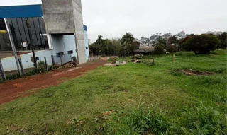 Imóvel 2969547 [''] - ['Rodovia SC-157, em região urbana de São Lourenço do Oeste'] [''] - ['São Lourenço Do Oeste']/['SC'] - 1