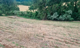 Imóvel 2658648 [''] - ['Nao informado Nao informado Fazenda Toldo Velho'] [''] - ['Ipuaçu']/['SC'] - 1