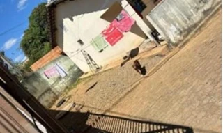 Imóvel 2843448 [''] - ['Quadra 01, Lote 11, do Loteamento Parque Nápolis ? Gleba A - Cidade Ocidental/GO'] [''] - ['Cidade Ocidental']/['GO'] - 1