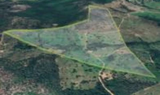 Imóvel 2939748 [''] - ['Lote n° 50-A, do Loteamento Agenor Florêncio 2ª Etapa, Fazenda Bom Jesus'] [''] - ['Palmeirópolis']/['TO'] - 1
