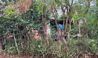 Imóvel 2607548 [''] - [''] [''] - ['Roque Gonzales']/['RS'] - 1