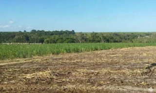 Imóvel 2648148 [''] - ['Fazenda São Jorge, antiga Chiqueiro, situado neste município de Igreja Nova'] [''] - ['Igreja Nova']/['AL'] - 1