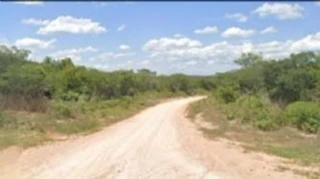 Imóvel 2599948 [''] - ['Fazenda c/ 1100 Hectares, Chapada da Vereda Grande'] [''] - ['Uruçuí']/['PI'] - 1