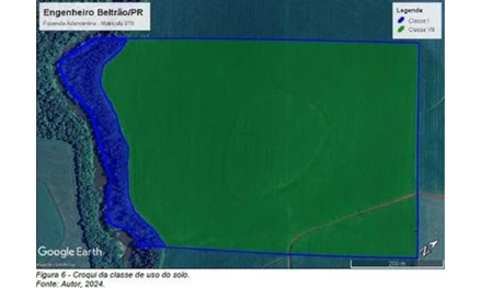Imóvel rural em Engenheiro Beltrão, , PR /Engenheiro Beltrão, PR. Área: 31.46m2