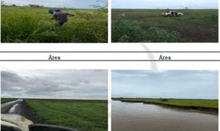 Imóvel 2664048 [''] - ['Fazenda Paroara I situada à margem direita do Rio Mocoões'] [''] - ['Anajás']/['PA'] - 1