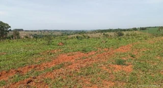 Imóvel 2703548 [''] - ['FAZENDA MATA BURROS'] [''] - ['Patos de Minas']/['MG'] - 1