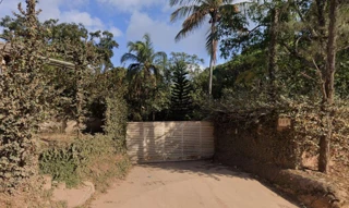 Imóvel 2653548 [''] - ['Rua Luis Carlos de Almeida, n 535'] ['Granja dos Cavaleiros'] - ['Macaé']/['RJ'] - 1