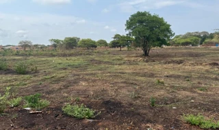 Imóvel 2609748 [''] - ['Lote nº 12 da Quadra nº 49'] [''] - ['Araguacema']/['TO'] - 1