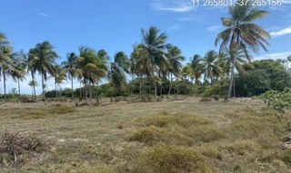 Imóvel 2275448 ['IDR184660'] - ["Rodovia Camilo Calazans de Magalhães (Estrada do Abais), s/n, Quadra 68, Lote 02, Loteamento Vila Rica do Abais, Itaporanga D'ajuda, SE, 49120-000"] [''] - ["Itaporanga D'Ajuda"]/['SE'] - 1