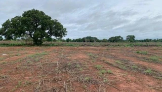 Imóvel 2730148 [''] - ['Avenida Porto Rico, Lt 09 da Qd 01, Jardim América, Porto Nacional, TO'] [''] - ['Porto Nacional']/['TO'] - 1