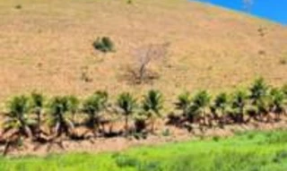 Imóvel 2601348 [''] - ['Estrada Pública Paulo Ribeiro, Vila Esperança'] [''] - ['Conceição De Macabu']/['RJ'] - 1