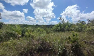 Imóvel 2699748 [''] - ["Área 2 - Lote 03A, s - Área 2 - Lote 03A - Povoado Duro - Itaporanga D'ajuda / SE"] [''] - ["Itaporanga d'Ajuda"]/['SE'] - 1