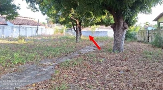 Imóvel 2855748 [''] - ['RUA JAMES CLARK (N°343 NO IPTU), 355-B, NOSSA SENHORA DE FÁTIMA'] ['Nossa Sra. de Fátima'] - ['Parnaíba']/['PI'] - 1