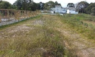 Imóvel 2720548 [''] - ['BAIRRO DAS BROTAS, PIRAÍ DO SUL'] [''] - ['Piraí Do Sul']/['PR'] - 1