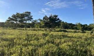 Imóvel 2562549 [''] - ['Área rural - 25 alq. e 45 litros, Anicuns'] [''] - ['Anicuns']/['GO'] - 1