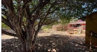 Imóvel 2693949 [''] - ['RUA KENEDY ,12,LT 13 QD D - VILA NOVA, QUIRINÓPOLIS/GO - CEP: 75860-000'] ['Pecuária'] - ['Quirinópolis']/['GO'] - 1