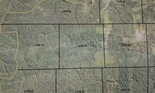Imóvel 2899849 [''] - ['Gleba São Francisco, Lote 16 Colniza/MT'] [''] - ['Colniza']/['MT'] - 1