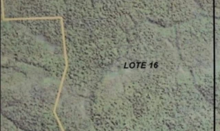 Imóvel 2899849 [''] - ['Gleba São Francisco, Lote 16 Colniza/MT'] [''] - ['Colniza']/['MT'] - 1