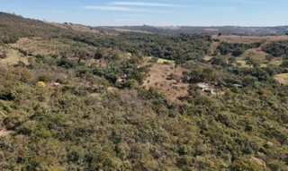 Imóvel 2995649 [''] - ['Situado na região de "Deus-me-livre",, zona rural - Luziânia - GO'] [''] - ['Luziânia']/['GO'] - 1