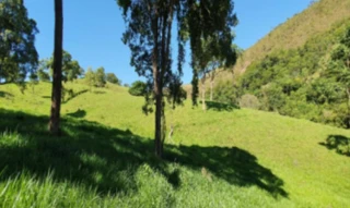 Imóvel 2278649 [''] - ['FAZENDA CACHOEIRA- SANTO ANTÔNIO, ESMERIL, LUGAR DENOMINADO RECANTO'] [''] - ['Patrocínio']/['MG'] - 1