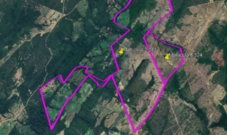 Imóvel 3005649 [''] - ['parte de terras pastais e lavradias com a área de 435 hectares e 6.000 metros quadrados da sesmaria denominada MUTUM'] [''] - ['Poconé']/['MT'] - 1