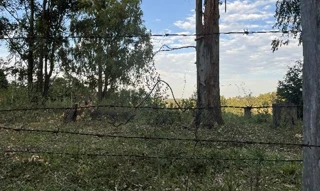 Imóvel 2692649 ['1444421130965'] - ['ESTRADA 1,N. 01 LT 90 QD 11, LOT RURAL ELDORADO - CEP: 92990-000, ELDORADO DO SUL - RIO GRANDE DO SUL'] [''] - ['Eldorado Do Sul']/['RS'] - 1