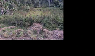 Imóvel 2424149 ['1444419613695'] - ['ESTRADA SANTA RITA,N. S/N LT77, QDV, FAZENDA ALPINA - CEP: 25980-250, TERESOPOLIS - RIO DE JANEIRO'] [''] - ['Teresópolis']/['RJ'] - 1